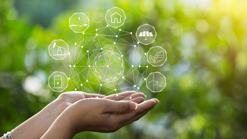 antonio-michelini-energy-group-connessione-energia